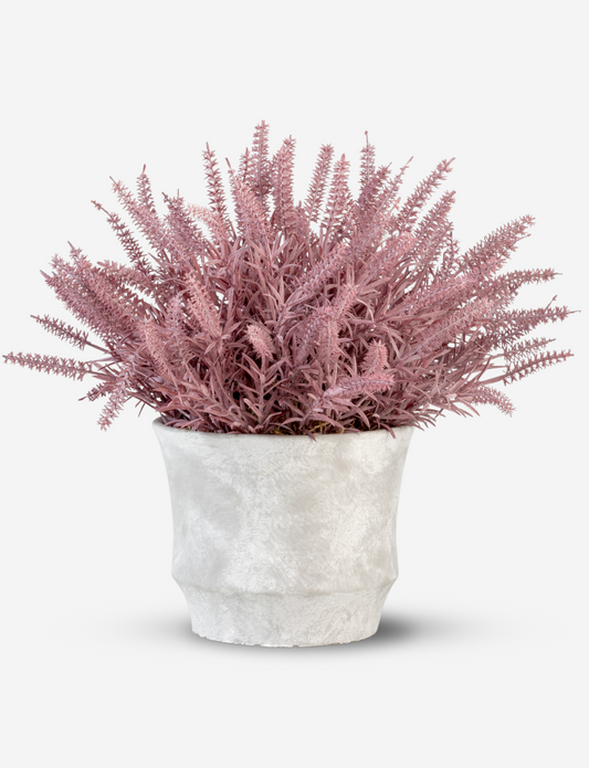 Casper Wheatgrass Arrangement