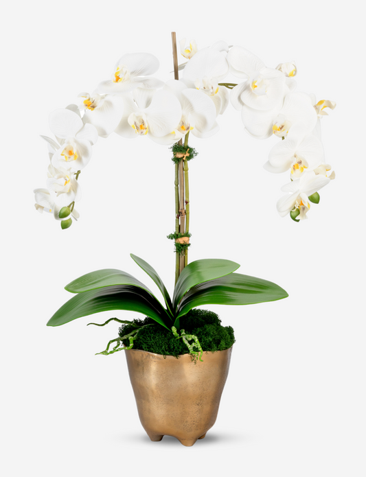 Rowan RealTouch Orchid