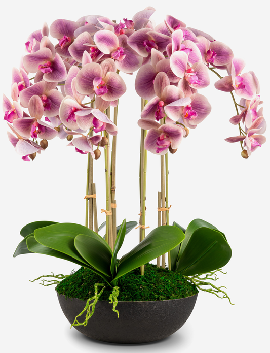 Abella RealTouch Orchid Arrangement