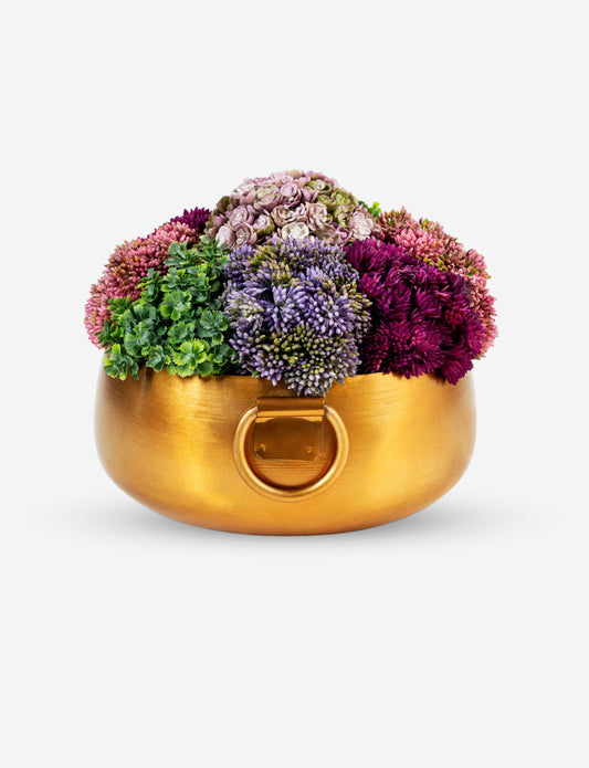 Alba Gold Sedum Arrangement