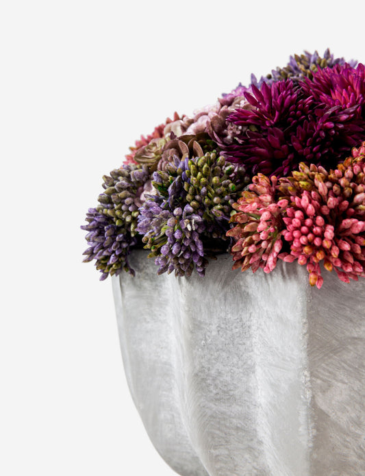 Allison Cement Sedum Arrangement