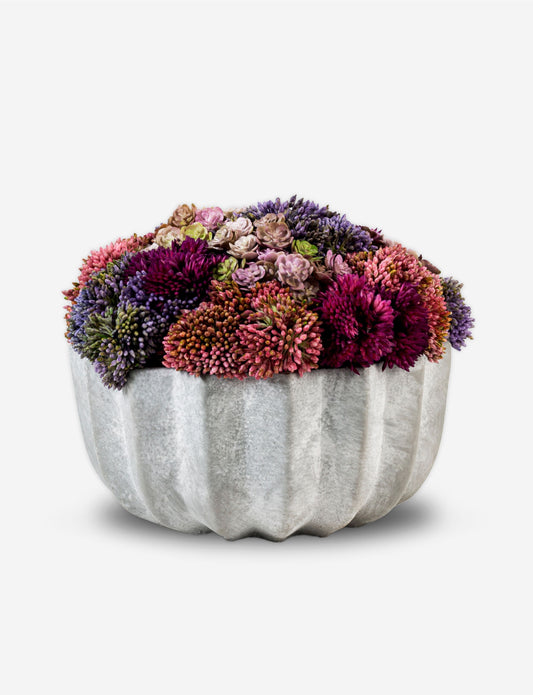 Allison Cement Sedum Arrangement