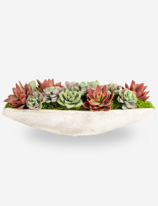 Asti Succulent Cement Arrangement