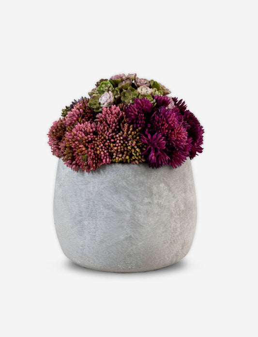 Bailey Cement Sedum Arrangement