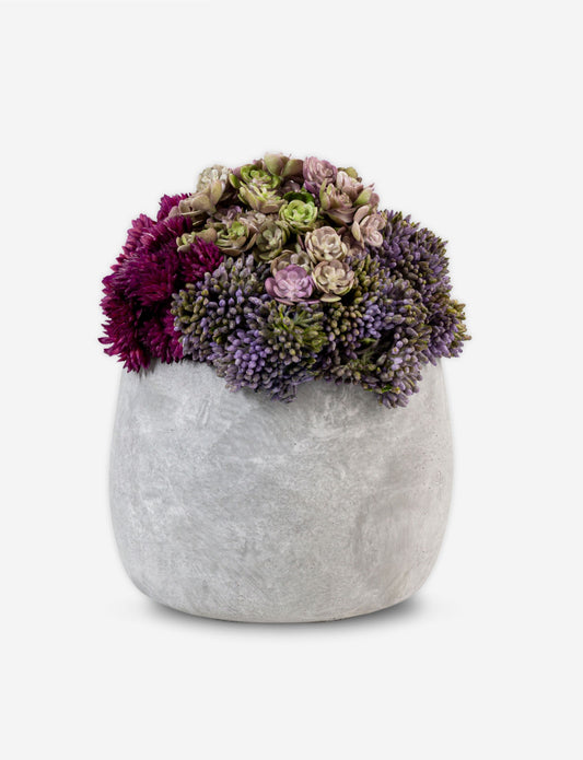 Bailey Cement Sedum Arrangement