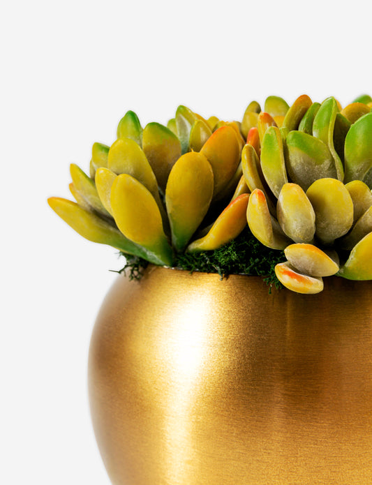 Beatrice Gold Succulent Arrangement