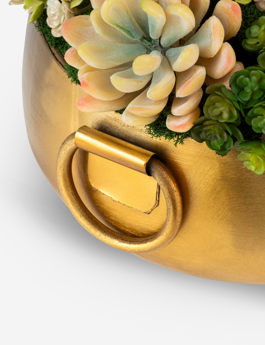 Blaise Succulent Arrangment