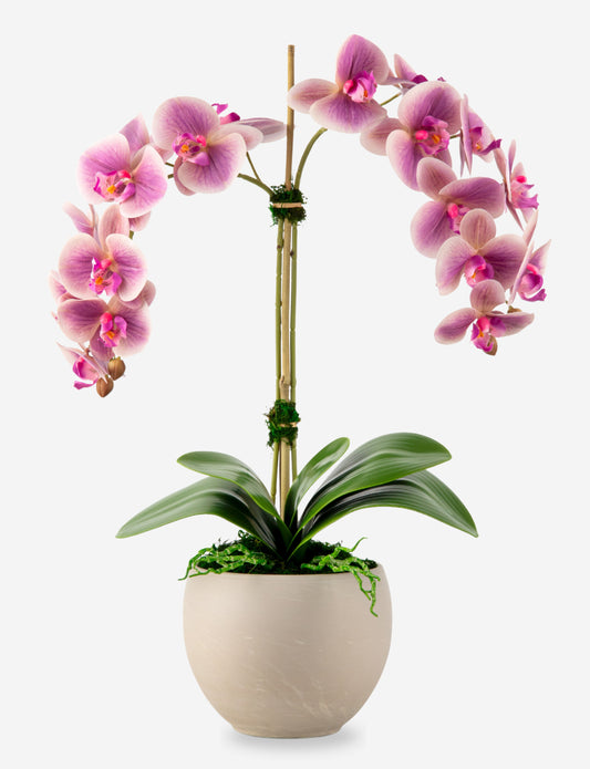 Cassandra RealTouch Orchid Arrangement