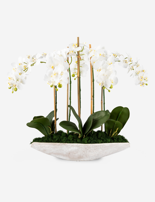 Ciara RealTouch Orchid Planter