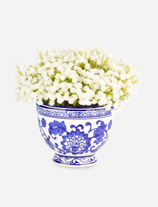 Colette Toile Baby's Breath Bowl