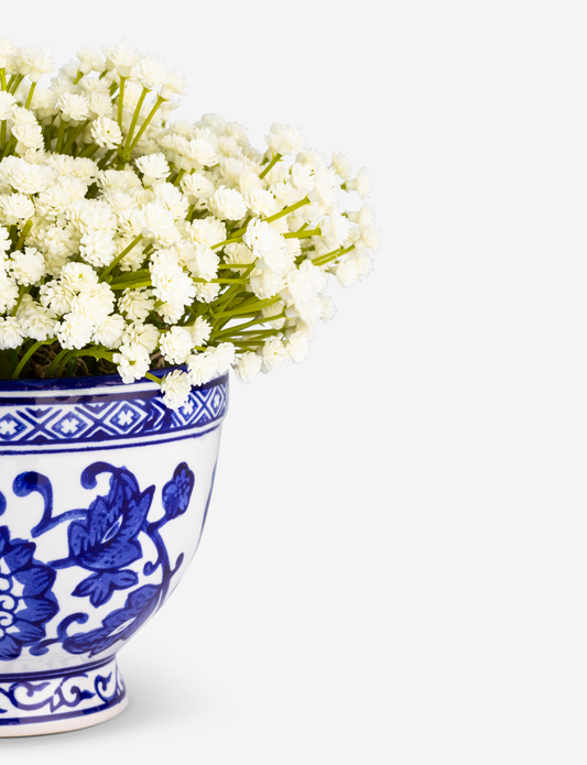 Colette Toile Baby's Breath Bowl