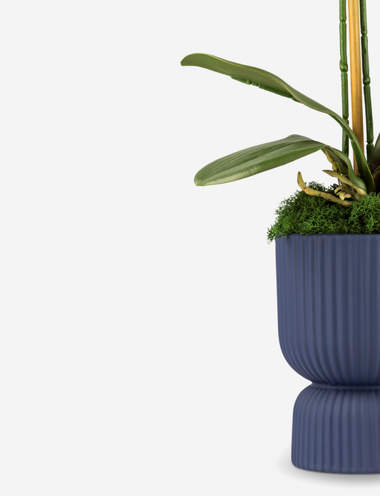 Cruz RealTouch Pedestal Orchid