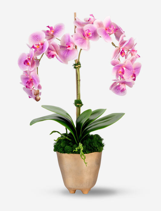 Rowan RealTouch Orchid