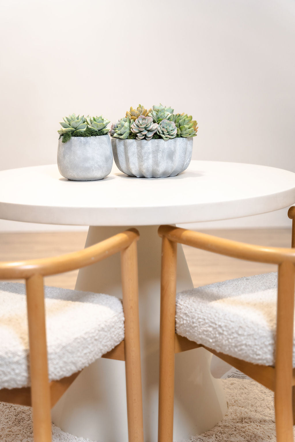 Madison Pleated Cement Succulent Arrangement