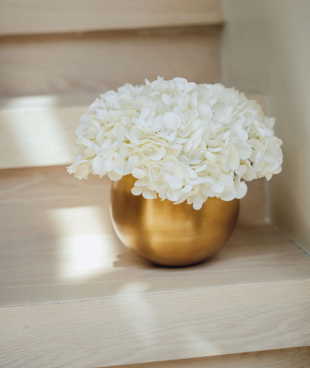 Auden RealTouch Hydrangea Arrangement