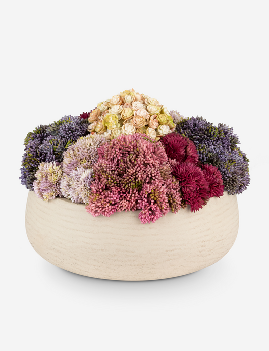 Deveraux Sedum Arrangement