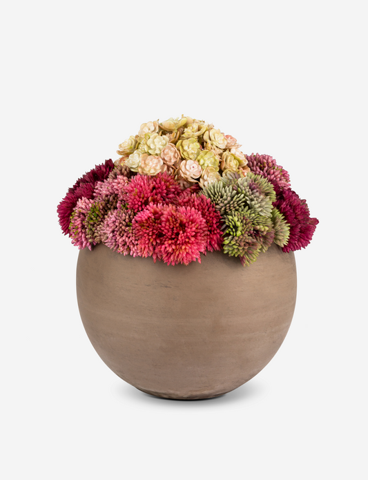 Elias Sedum Arrangement