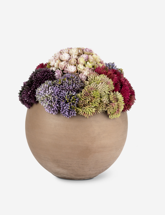 Elias Sedum Arrangement