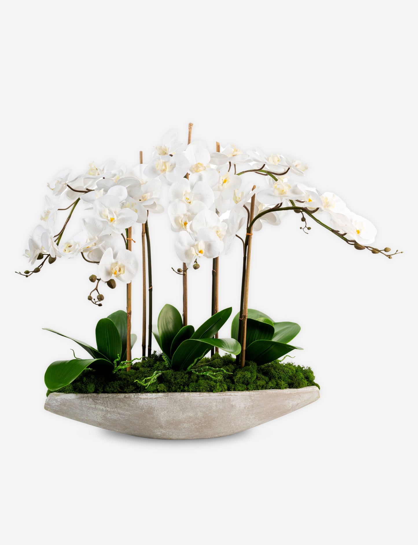 Elsa Orchid Planter