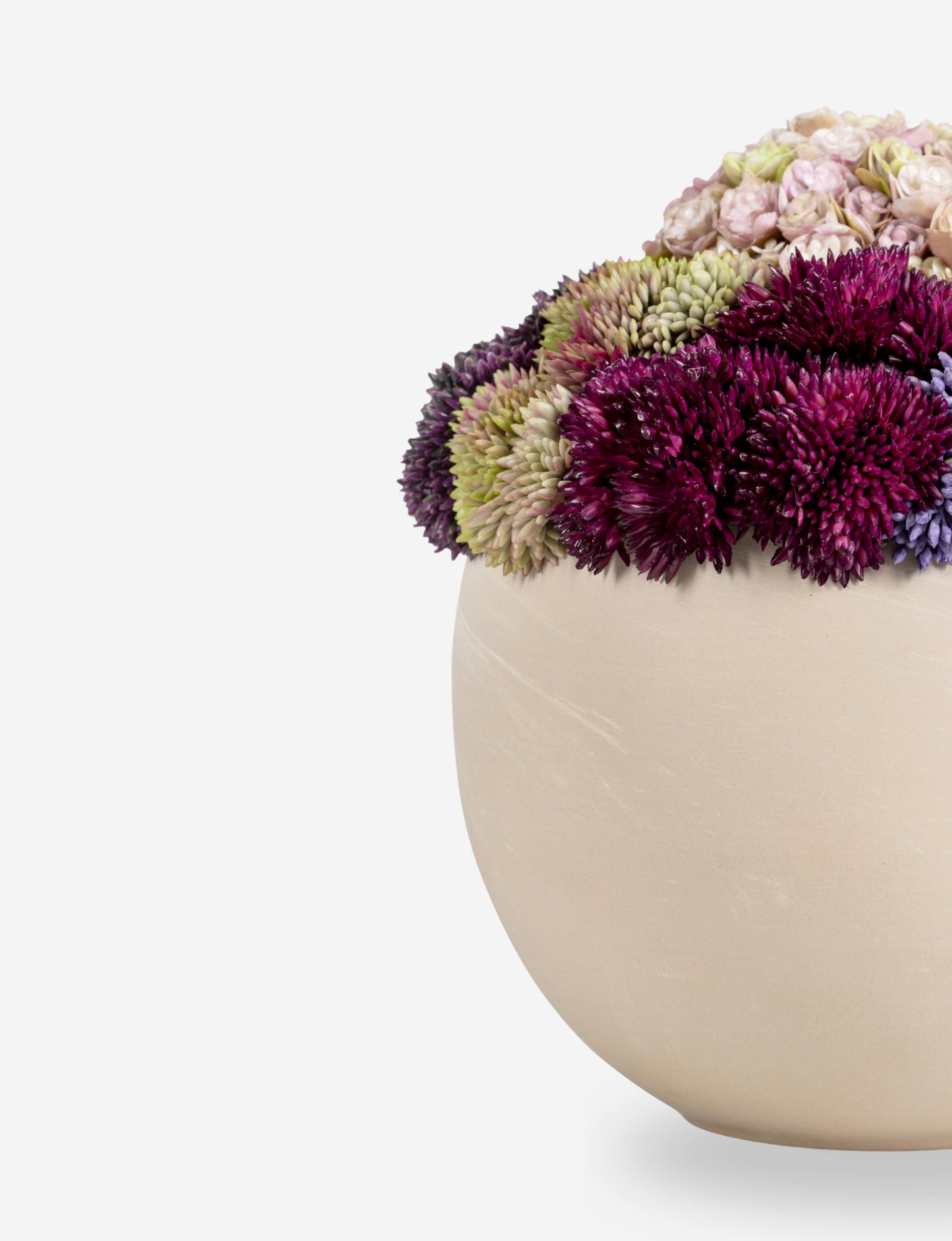 Evren Sedum Arrangement