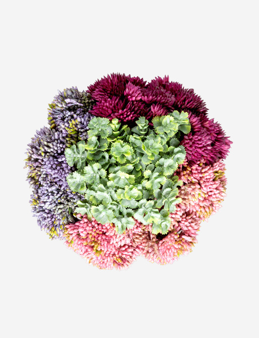 Loreta Sedum Arrangement