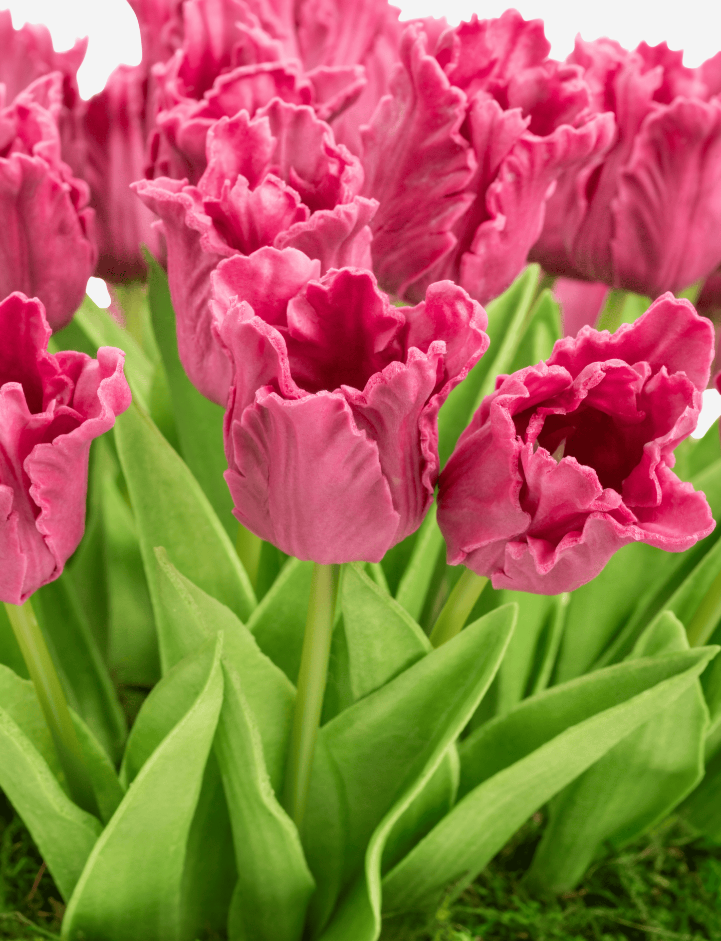 Louisa RealTouch Tulip Arrangement