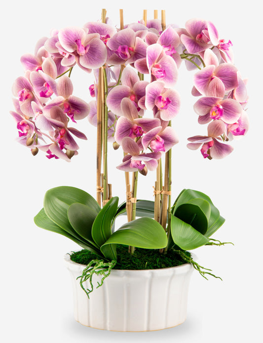Lugano RealTouch Orchid Arrangement