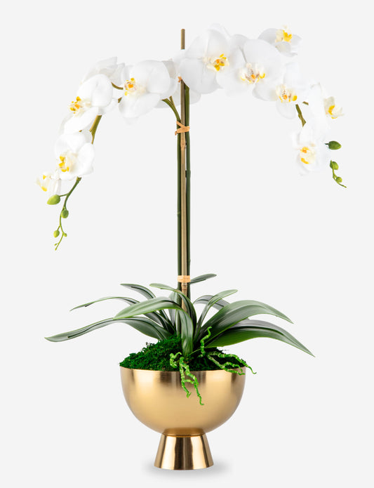 Monet RealTouch Orchid in Gold Pedestal