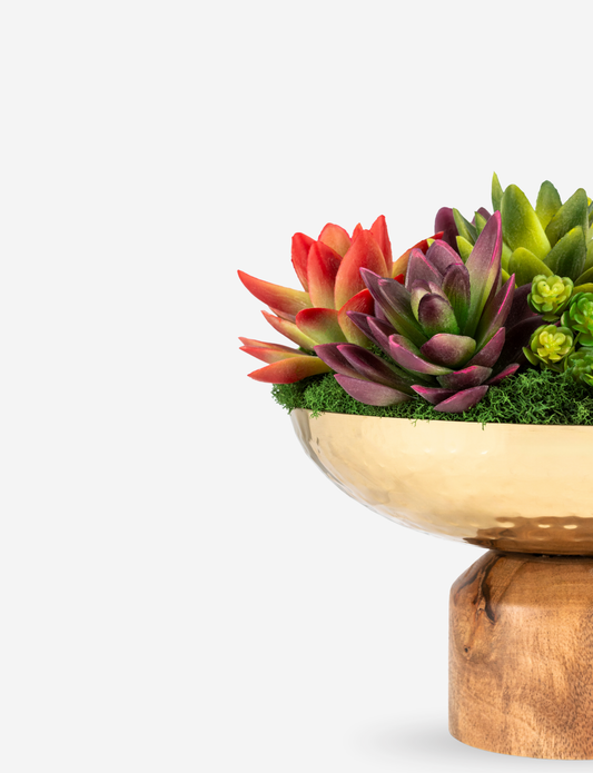 Petra Succulent Wooden Pedestal Arrangement