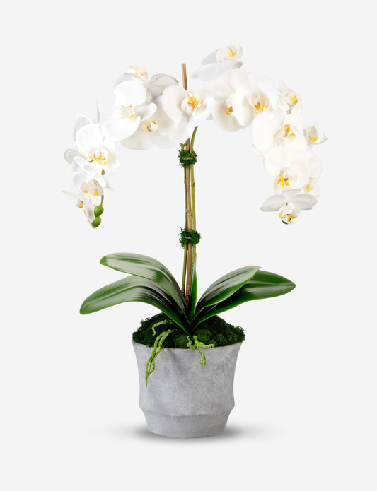 Rosalyn RealTouch Orchid