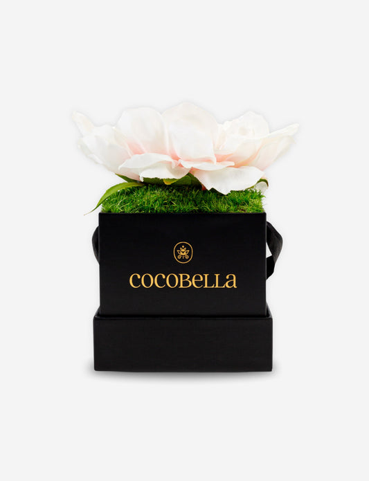 Alessia Mini RealTouch Peony Hatbox