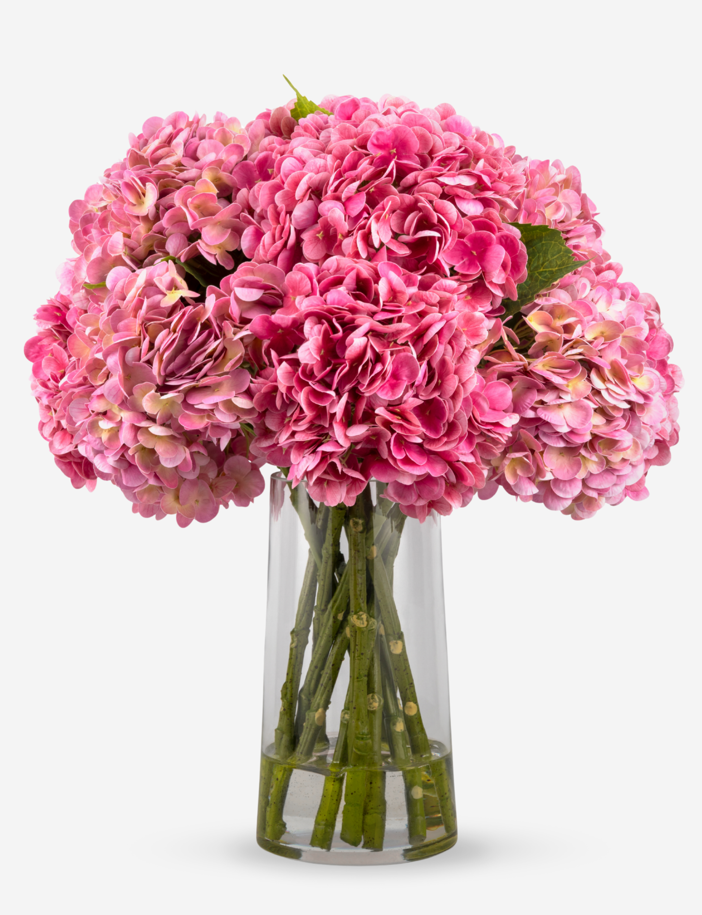 Cecilia RealTouch Hydrangea Bundle