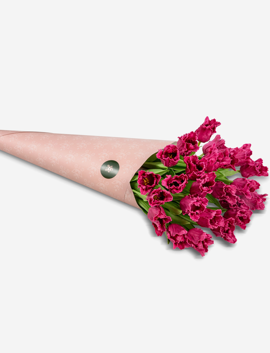 Lucia RealTouch Parrot Tulip Bundle