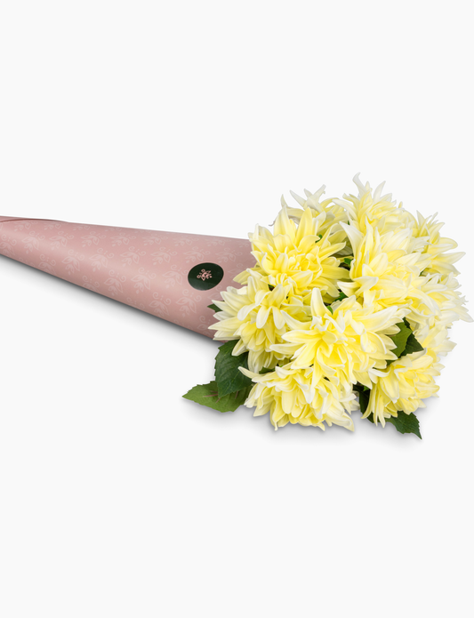 Valerie RealTouch Dahlia Bundle