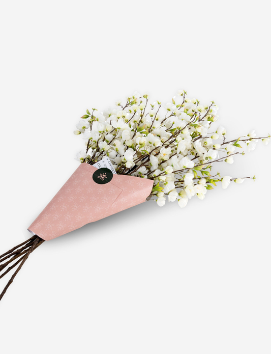 Cielo Cherry Blossom Bundle