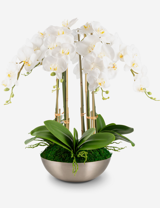 Abrienne RealTouch Orchid Arrangement