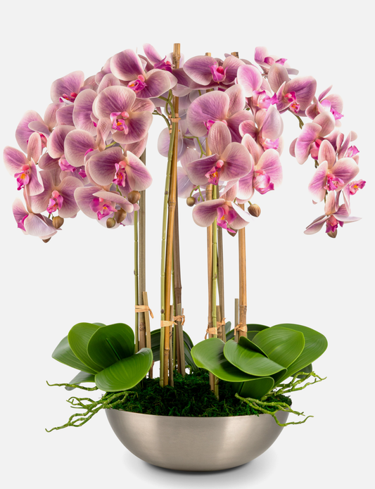 Abrienne RealTouch Orchid Arrangement