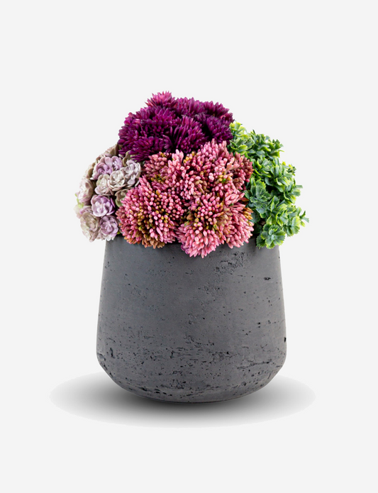 Neriah Mini Sedum Arrangement