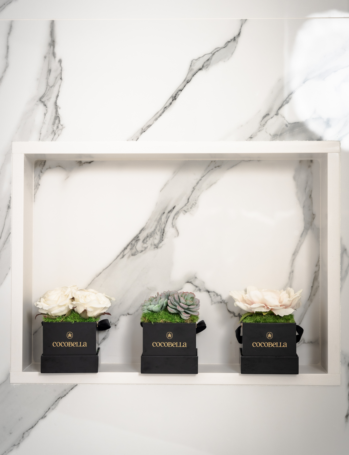 Bella Mini Succulent Arrangement