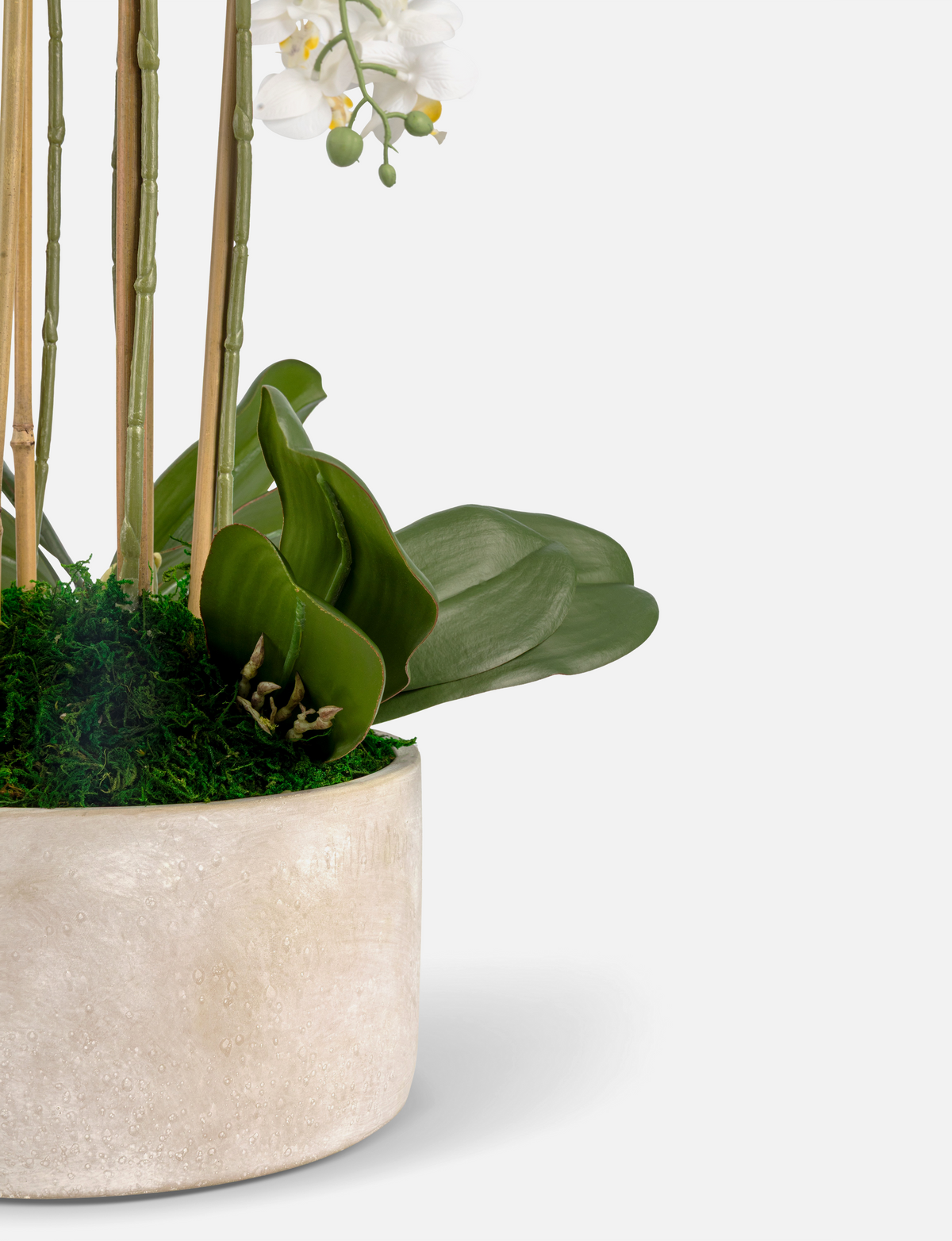 Veronique RealTouch Orchid Arrangement