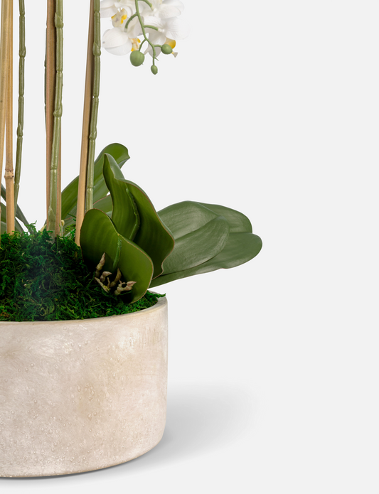 Veronique RealTouch Orchid Arrangement