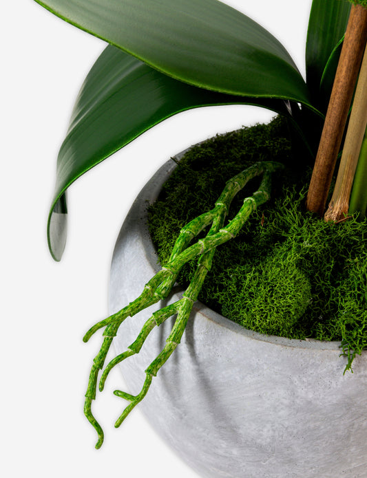 Victoria Cement RealTouch Orchid