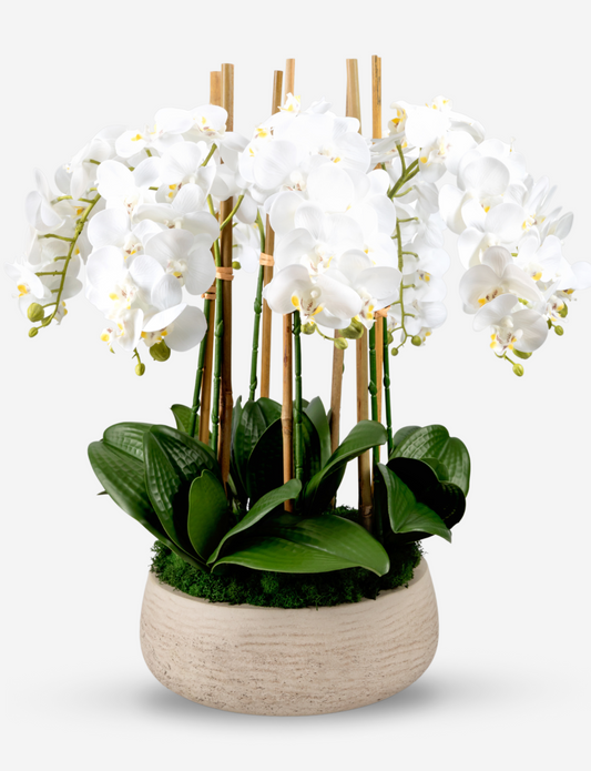 Briar RealTouch Orchid Arrangement