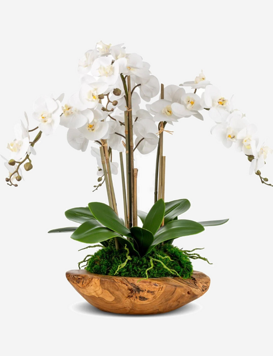 Phoenix RealTouch Orchid in Wood Bowl