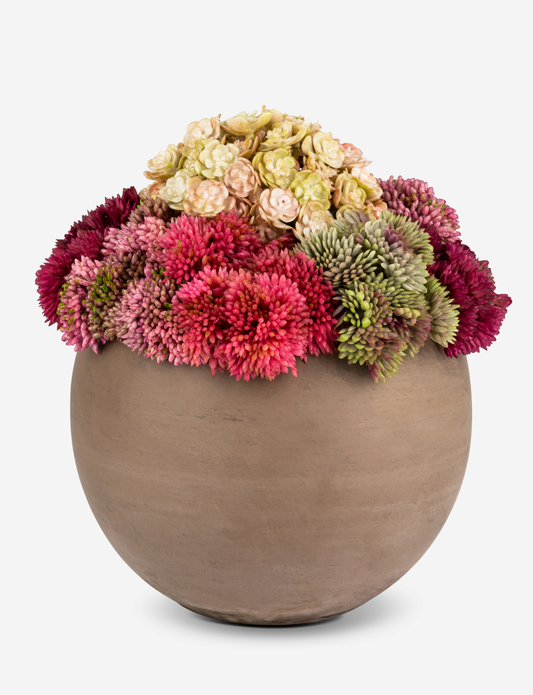 Elias Sedum Arrangement