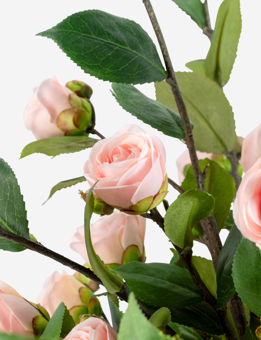 Zyla Rose Branch Arrangement