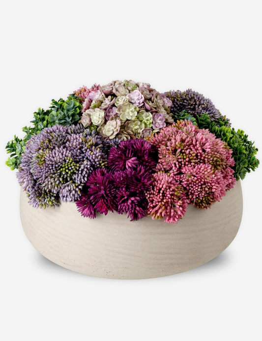 Georgina Sedum Arrangement