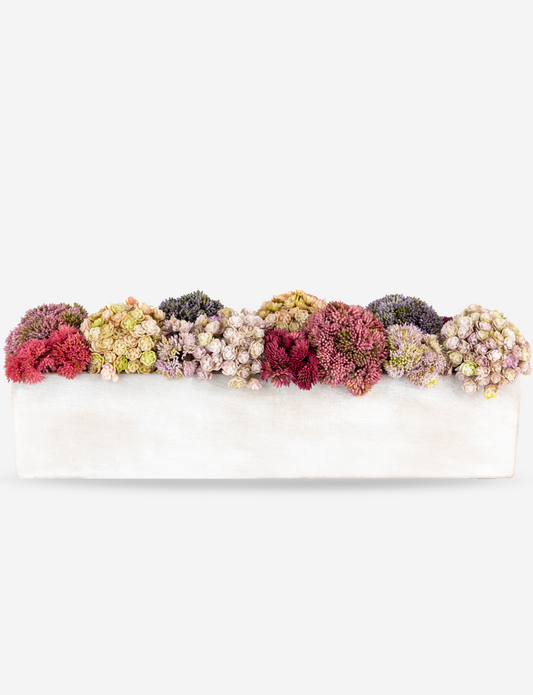 Arden Oblong Sedum Arrangement