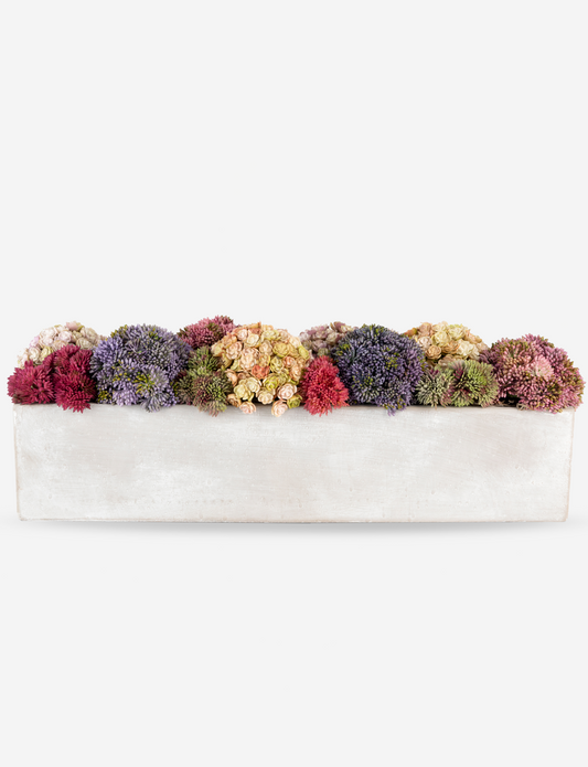 Arden Oblong Sedum Arrangement