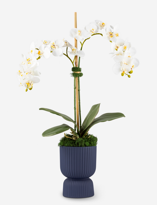 Cruz RealTouch Pedestal Orchid